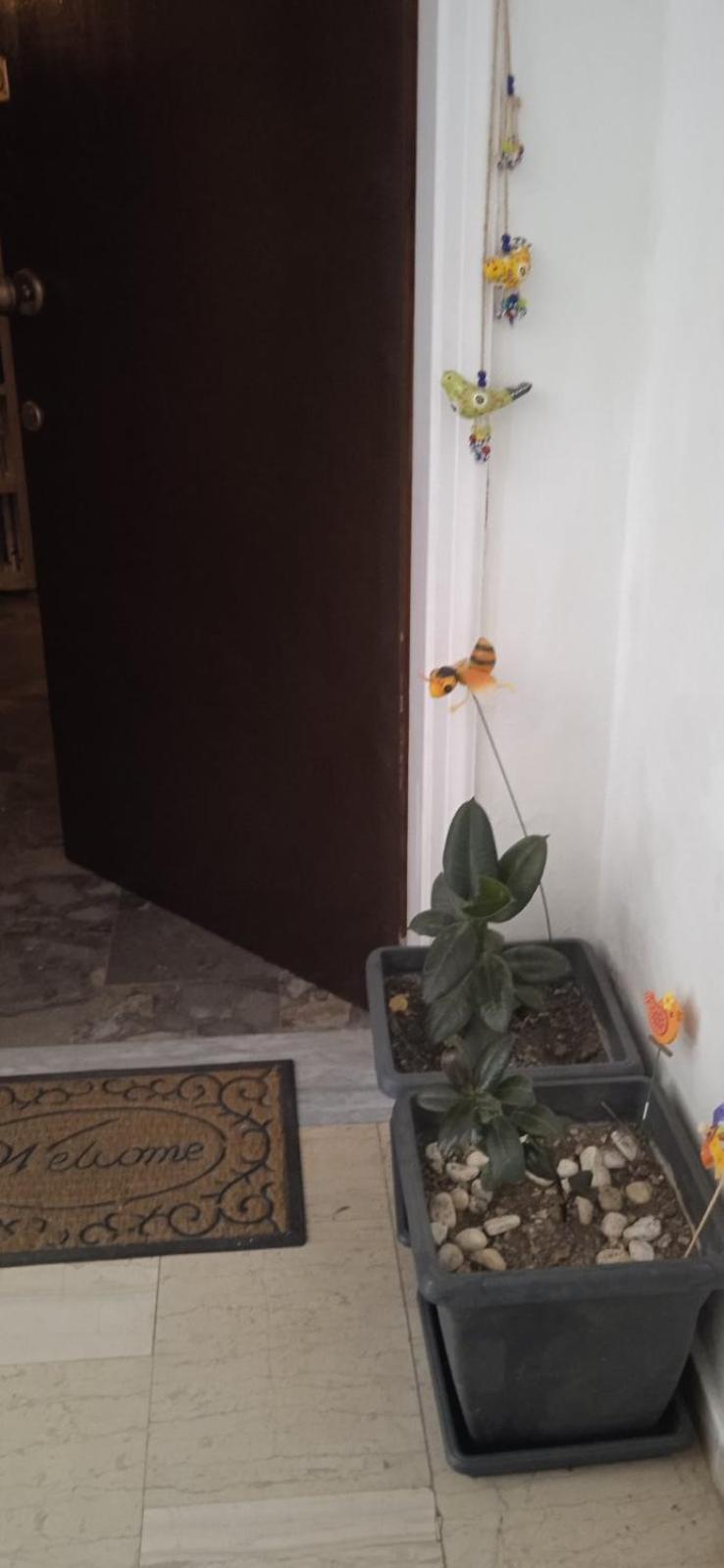 Campelina Home, 2Bd Near Corfu Town Exterior photo